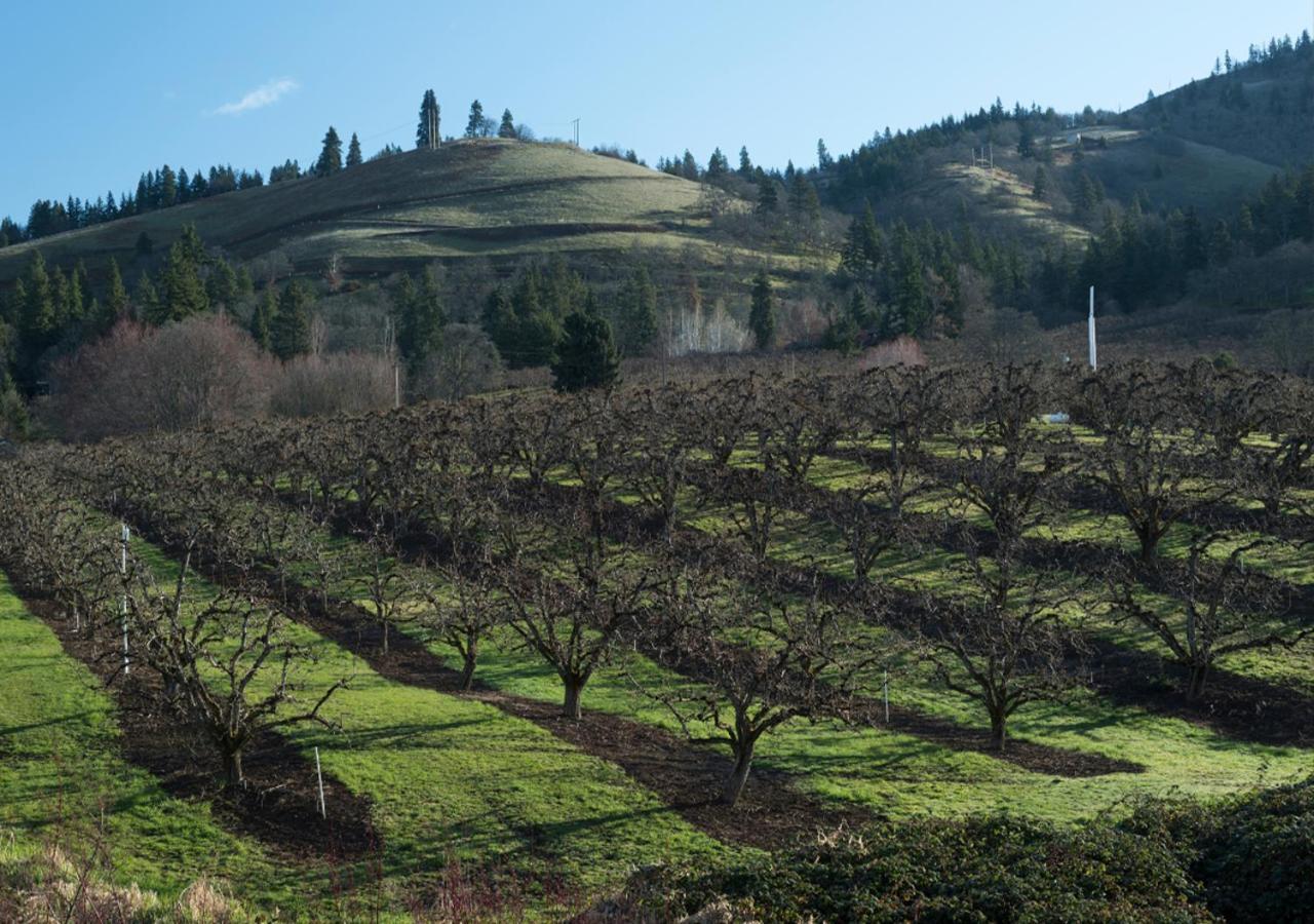 The Dalles Inn Luaran gambar